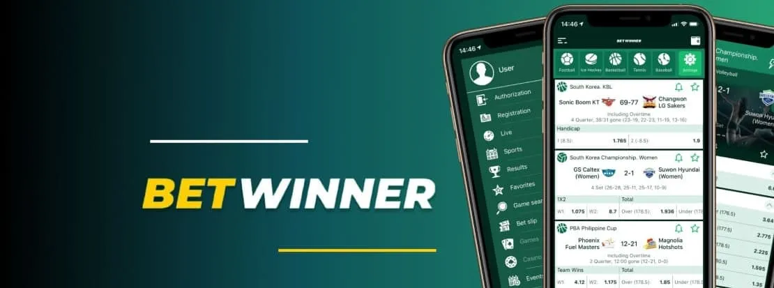 Betwinner app old version