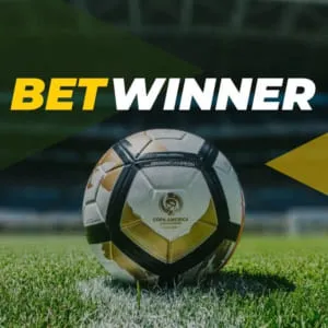 How To Make Your http://betwinnerng.com/ Look Like A Million Bucks